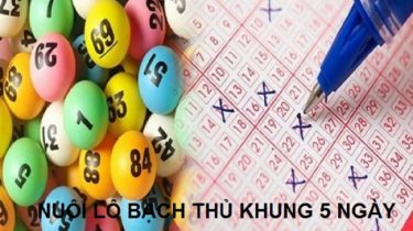 nuôi lô bạch thủ khung 5 ngày